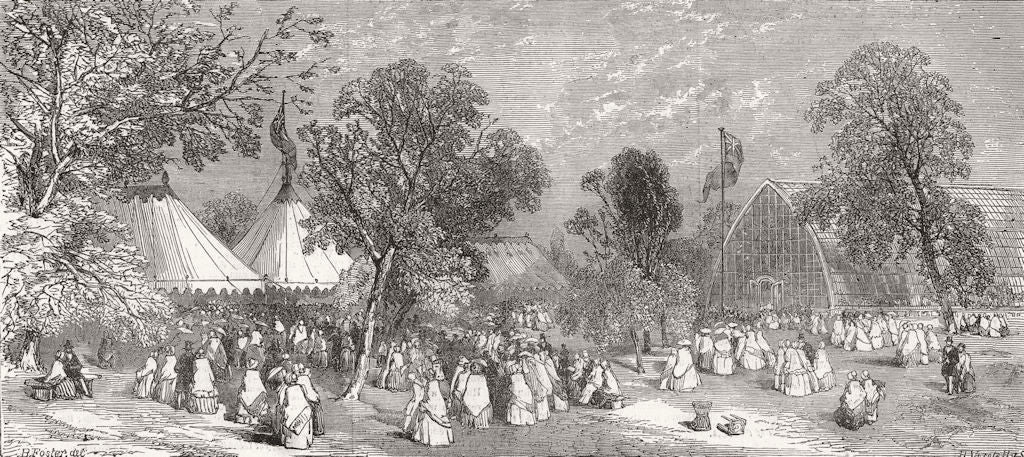 LONDON. Horticultural society's fete, Chiswick  1849 old antique print picture